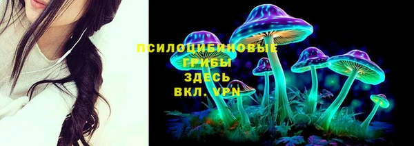 ешки Осинники