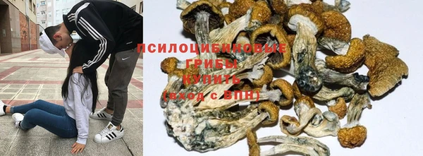 mdpv Няндома