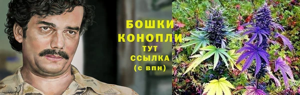 трава Балабаново