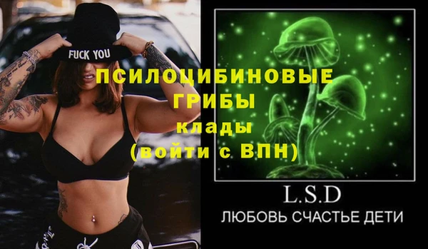 тгк Арсеньев